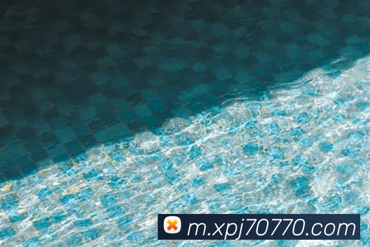 奖项图1
